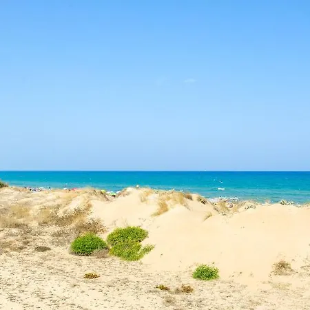 Bennecke Palermo